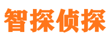 柳城市私家侦探